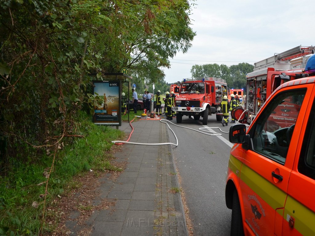 PKlemm Koeln Duennwald Am Weissen Moench Duennwalder Kommunalweg P07.JPG - Miklos Laubert